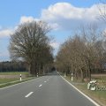 IMG_1216689