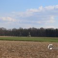 IMG_1216699