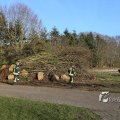 IMG_1216780