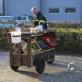 IMG_1216793