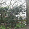 IMG_1217587