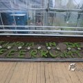 IMG_1217615