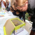 IMG_1217717