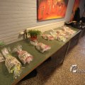 IMG_1218564