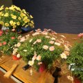 IMG_1218570