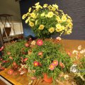 IMG_1218571