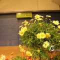 IMG_1218577