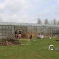 IMG_1217343