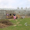 IMG_1217344