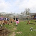 IMG_1217346