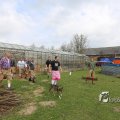 IMG_1217347