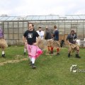 IMG_1217392
