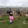 IMG_1217393