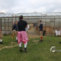 IMG_1217394
