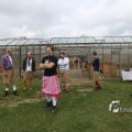IMG_1217396