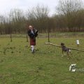 IMG_1217414