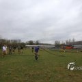 IMG_1217885