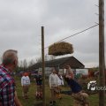 IMG_1218146