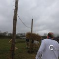 IMG_1218184