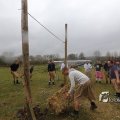 IMG_1218221