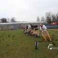 IMG_1218413