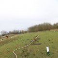 IMG_1218496