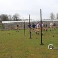 IMG_1218539