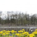 IMG_1220373