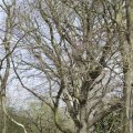 IMG_1220393