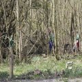 IMG_1220395