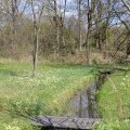 IMG_1220403
