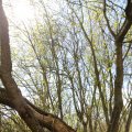 IMG_1220440