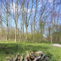 IMG_1220443