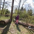 IMG_1220489