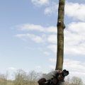 IMG_1220515