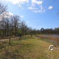 IMG_1220545