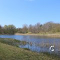 IMG_1220551