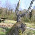 IMG_1220560