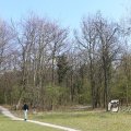 IMG_1220563