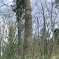 IMG_1220564