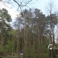 IMG_1220566