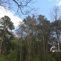 IMG_1220567