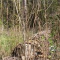 IMG_1220573