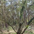 IMG_1220576