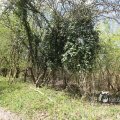 IMG_1220579