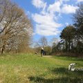 IMG_1220586