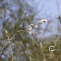 IMG_1220591