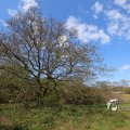 IMG_1220595