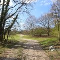 IMG_1220602