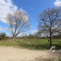 IMG_1220605